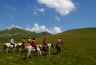 Camping Frankrijk Auvergne : Le Moulin de Serre vous invite à découvrir le massif du Sancy à cheval.