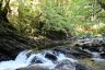 Camping Auvergne : Une des nombreuses rivières de l'Artense