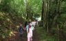 Campsite France Auvergne : Promenade sur les chemins du Puy de dôme près du camping